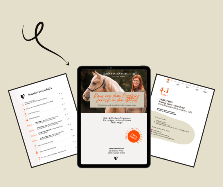 3 Seiten aus dem Workbook Workbook Ansichten