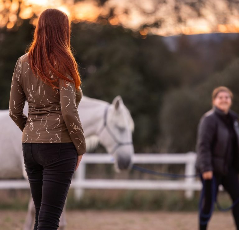 Coaching auf dem Reitplatz